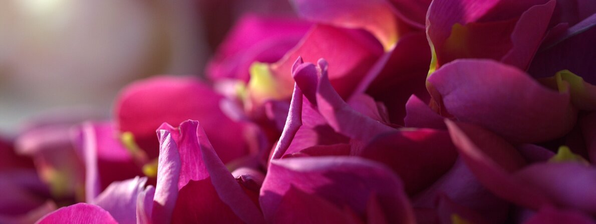 symrise.jpg symrise.jpg