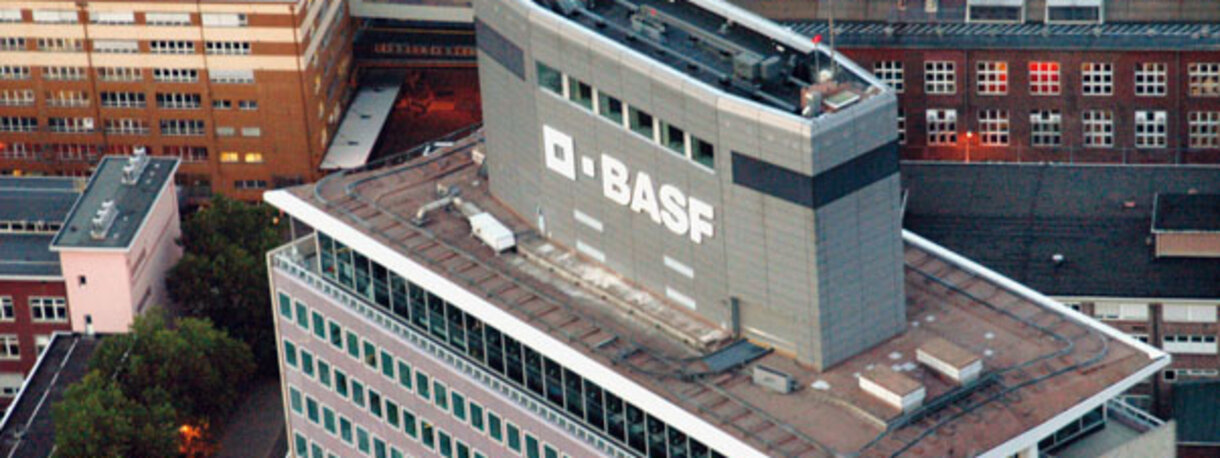 basf-3.jpg