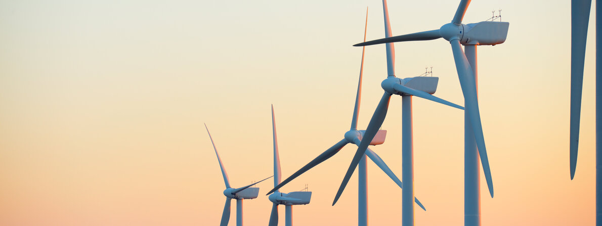 windraeder.jpg windraeder.jpg