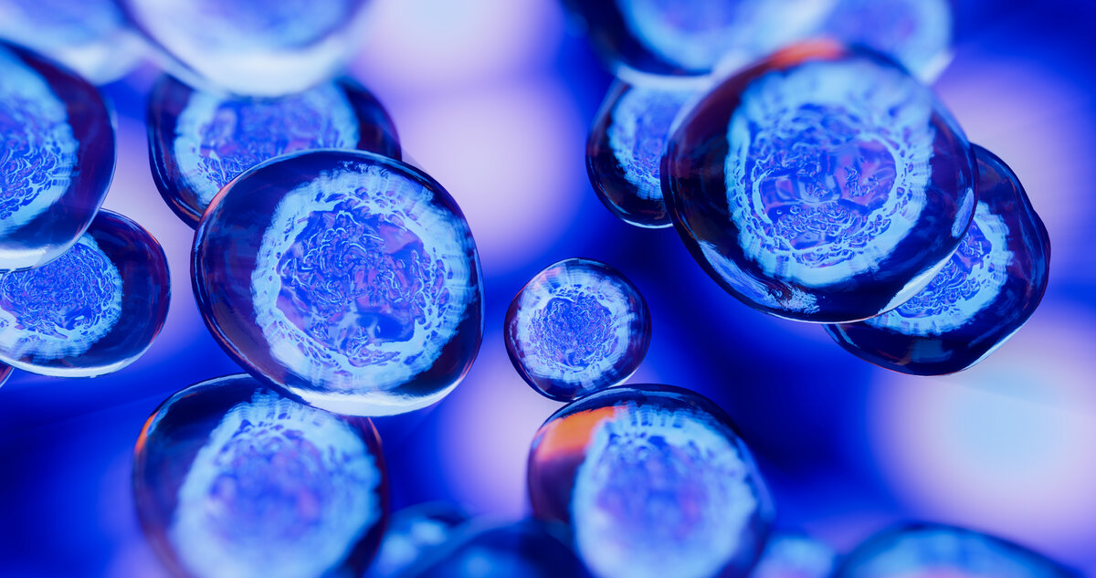 Abnehm Medikamente In Gefahr Novo Nordisk Warnt So Reagiert Die Pharmaindustrie - xl6287b
