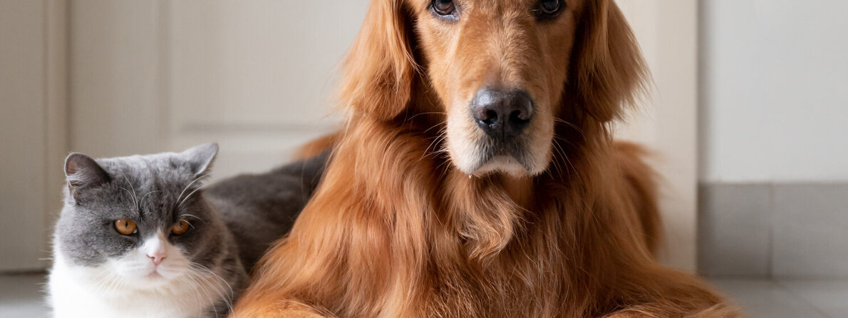 tierfutter.jpg tierfutter.jpg