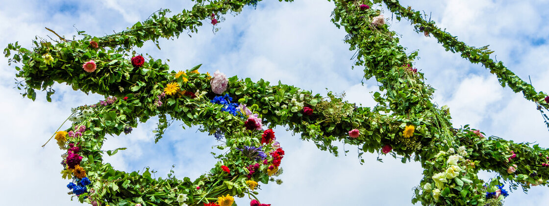 maibaum.jpg maibaum.jpg