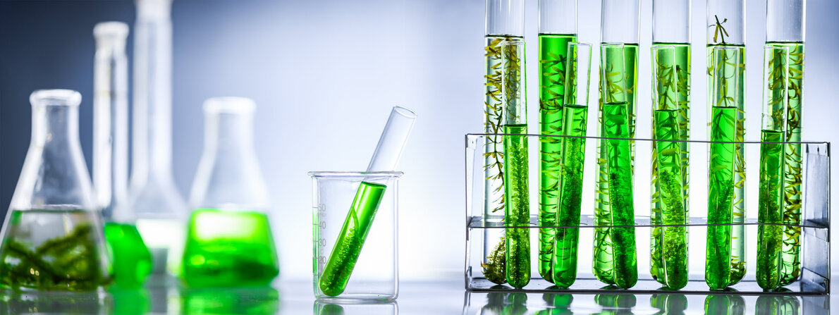 bioethanol_2.jpg bioethanol_2.jpg