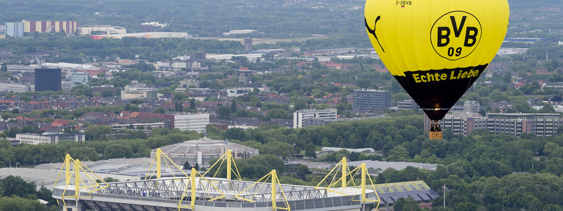 BVB.jpg