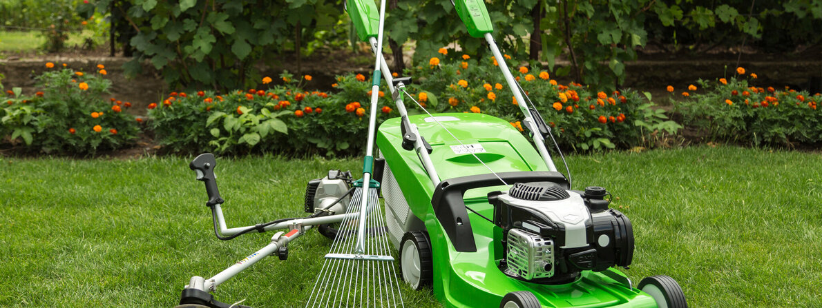 rasenmaeher.jpg