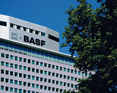 basf-1.jpg