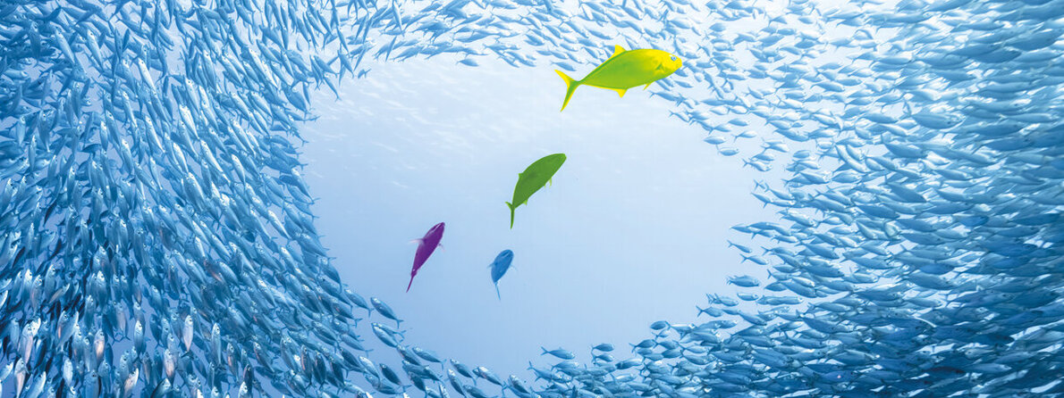 ES_11-website.jpg ES_11-website.jpg